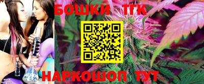 трава Партизанск
