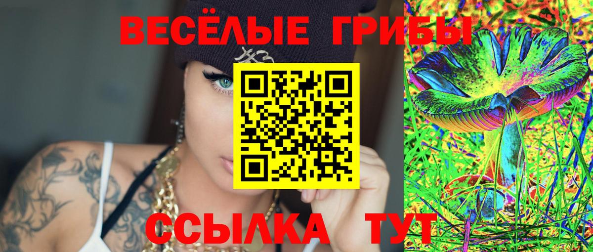 Псилоцибиновые грибы Psilocybe  Вход с VPN  Светлоград 